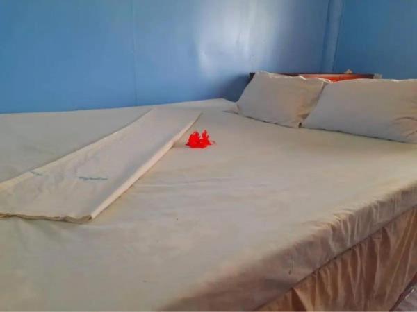 Mana Lagoon Backpackers Exterior foto